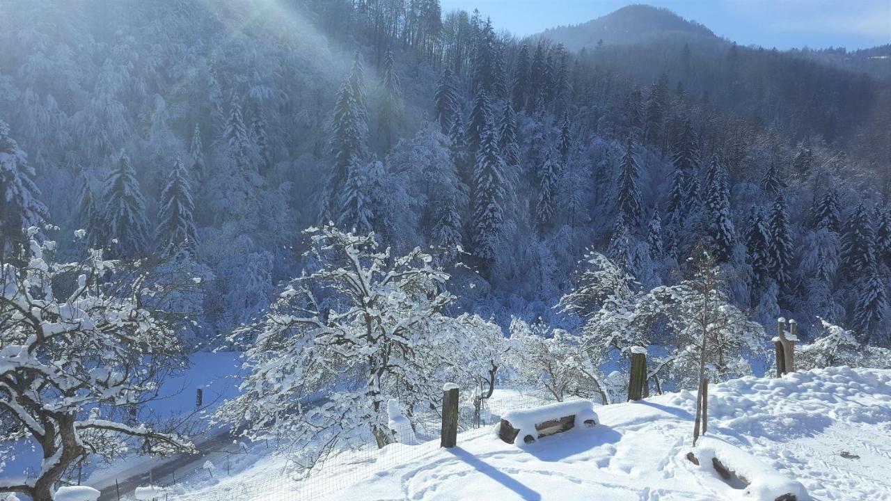 Вилла Turisticna Kmetija Weiss Miklavz pri Taboru Экстерьер фото